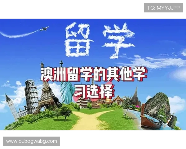 必赢旗舰网站提供丰富多样的商品选择满足不同客户的多元需求 必赢旗舰网站提供丰富多样的商品选择满足不同客户的多元需求