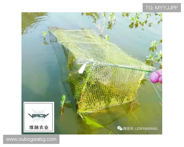 捕鱼王官方网站最新优惠活动公告,千万奖励等你来领取 捕鱼王官方网站最新优惠活动公告,千万奖励等你来领取